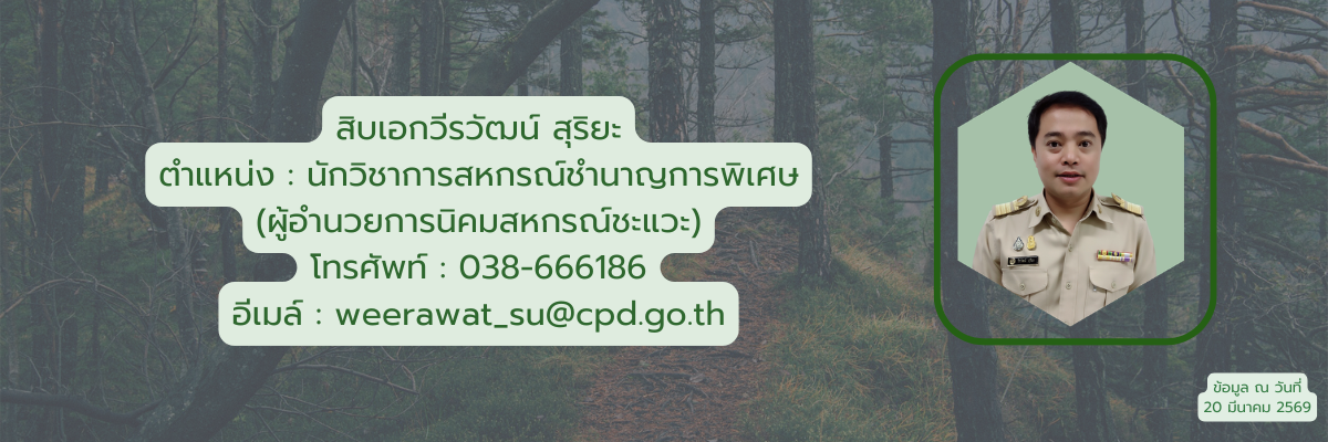 6596956
