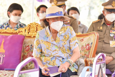 เฝ้ารับเสด็จ ... พารามิเตอร์รูปภาพ 1