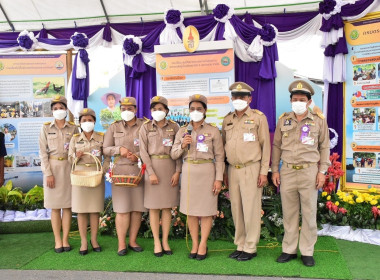 เฝ้ารับเสด็จ ... พารามิเตอร์รูปภาพ 6