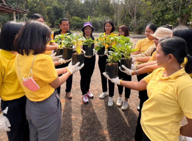 “Soil, Where food begins : อาหาร ก่อกำเนิดจากดิน” พารามิเตอร์รูปภาพ 6