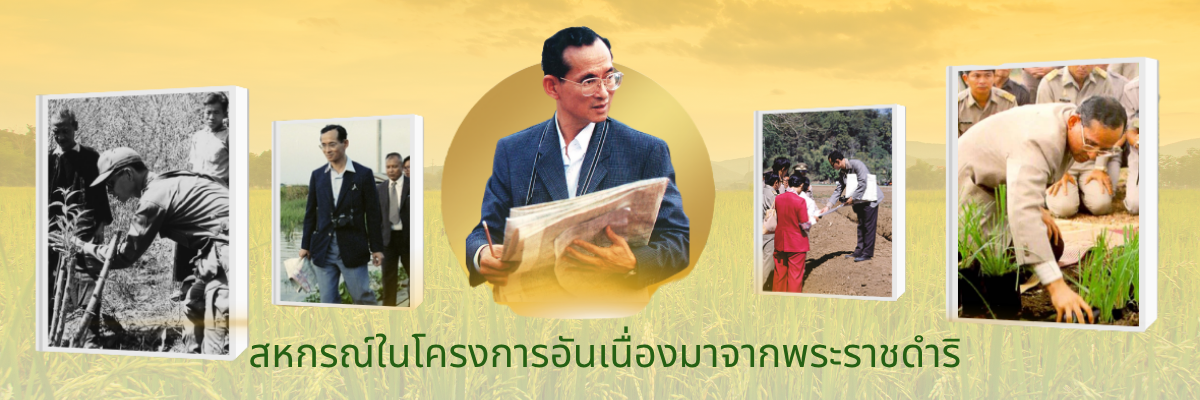 พระราชดำริ
