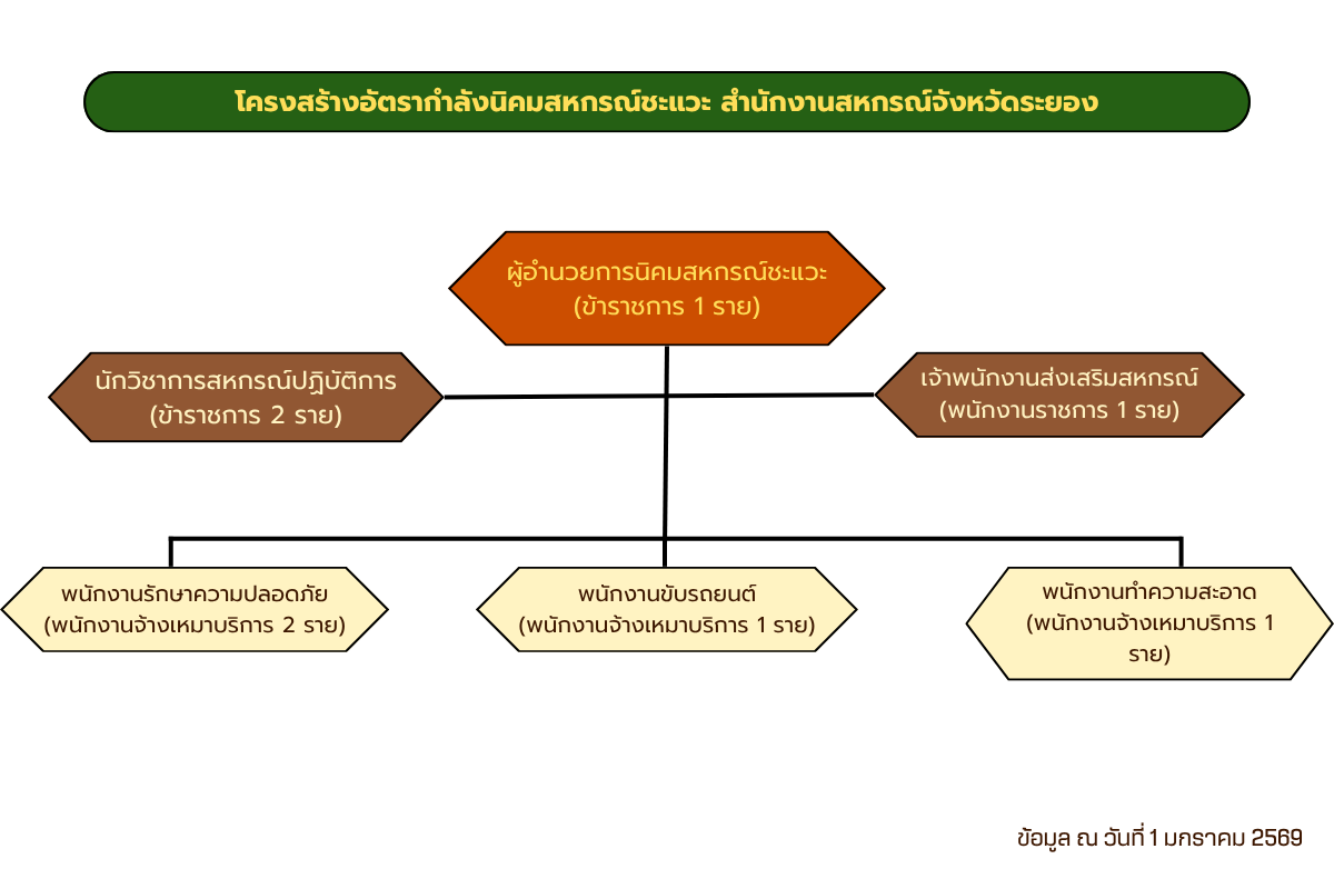 โครงสร้างอัตรากำลัง ชะแวะ2569